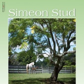 n.22 - Simeon Stud
